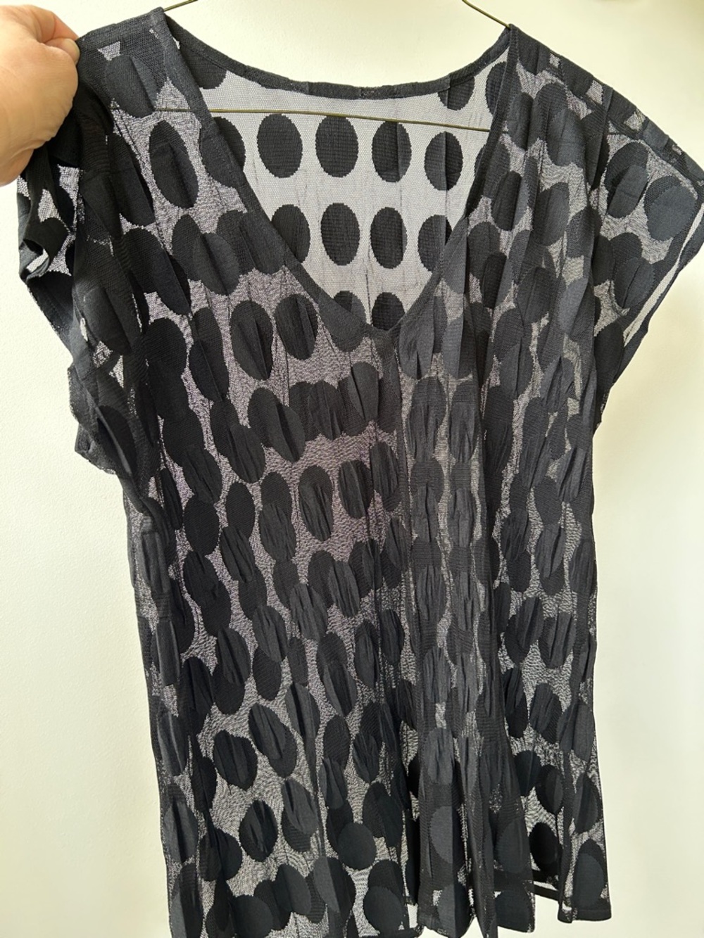 Sheer Black Polka Dot V-Neck Blouse